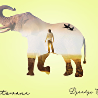 ElephantDB.jpg